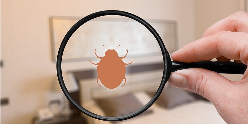 Kontrolle und Umsetzung von HACCP-Konzepten, sowie Maßnahmen zur Schädlingsprävention.